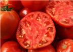 Cà chua giúp giảm ung thư