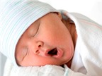 Tập cho bé tự ngủ: Thực hiện phương pháp “để bé khóc”