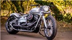 Xe Harley-Davidson mang thiết kế 