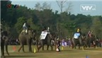 Đặc sắc lễ hội đua voi ở Nepal