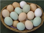Bí quyết giúp bạn chọn trứng gà tươi ngon