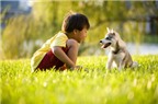 Cún cưng giúp giảm nguy cơ hen suyễn ở trẻ em