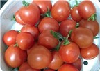 5 lý do nên dùng cà chua trong bữa ăn