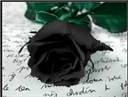 Độc đáo hoa hồng đen