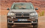 BMW tiếp tục chế tạo SUV cỡ lớn X7?