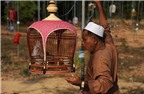Độc đáo lễ hội chim hót tại Thái Lan