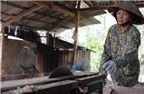 Độc đáo xứ dừa phụ nữ làm thợ mộc
