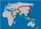 Loài người biết di cư sang lục địa khác cách đây 130.000 năm