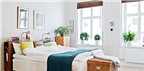 Lưu ý phong thủy khi đặt cây xanh trong phòng ngủ