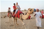 Du lịch sa mạc - Trải nghiệm mới tại Dubai