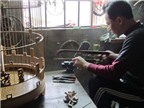 Nghệ nhân 20 năm làm lồng chim giá ngàn đô ở Huế