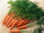 Cà rốt là nguồn chứa beta carotene tốt nhất