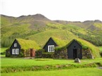 Những ngôi nhà mái cỏ độc đáo