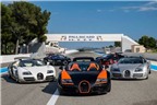 Dàn siêu xe Bugatti Veyron hội tụ