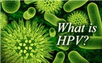 Nhiễm HPV - nguyên nhân của nhiều loại u & ung thư