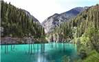 Khu rừng dưới nước tuyệt đẹp ở Kazakhstan