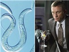 Anh chế tạo thuốc giúp chống say rượu như của điệp viên 007
