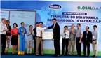 Tặng 71.550 ly sữa cho trẻ em nghèo Nghệ An
