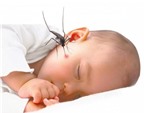 Những giải đáp về bệnh sốt xuất huyết ở trẻ