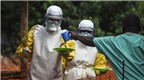 10 điều cần biết về sự nguy hiểm của virus Ebola