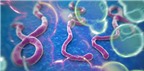 12 điều về đại dịch Ebola bạn cần biết