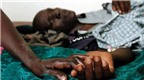 Những dịch bệnh khủng khiếp tương tự Ebola ở Châu Phi