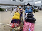 Nguy cơ lây nhiễm Ebola qua đường hàng không ở mức thấp