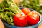 Bí quyết giữ salad tươi lâu, đảm bảo dinh dưỡng