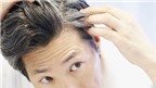 Cách ngăn ngừa tóc bạc sớm