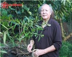 Hà Nội: Cụ ông 82 tuổi vẫn sinh con chia sẻ bí quyết