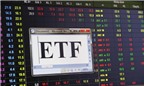 Ẩn số thành công của ETF nội