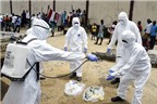 Nguy cơ virus Ebola 