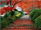 Tuyệt đẹp khung cảnh Nhật Bản mùa thu