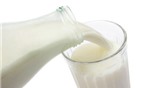 Nguy cơ tiềm ẩn từ sữa tươi chưa tiệt trùng