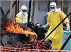 Senegal và Nigeria đã hết dịch bệnh Ebola