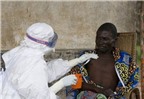 Phân biệt bệnh Ebola và sốt rét