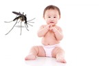 Đuổi muỗi cho trẻ bằng… thực phẩm an toàn