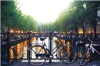 35 lý do khiến du khách ‘phải lòng’ với du lịch Amsterdam