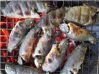 5 cách nấu món cá tốt cho sức khỏe
