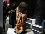 Phát hiện xác ướp Peru 1.000 năm tuổi trong tư thế ngồi co