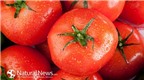 Những lợi ích sức khỏe bất ngờ của cà chua