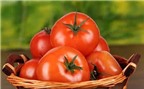 Cách chọn cà chua sạch và ngon