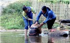 Cô gái “người rừng” ở Ka Tăng học lại cách làm người