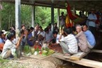 Lễ hội thiêng của người Khmer (*): Kỳ công nuôi bò đua