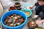 Cách làm cá kho làng Vũ Đại ngon tuyệt ngày Tết