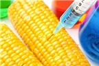EU thông qua quy định gây tranh cãi về thực phẩm biến đổi gen