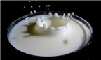 6 bước làm đẹp da toàn diện với sữa tươi