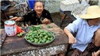 Sợ ung thư, châu Á nỗ lực chặt bỏ cây cau