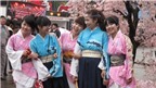 Lễ hội hoa anh đào Nhật Bản tại Hoàng thành Thăng Long