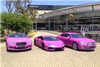 Lamborghini, Bentley hồng chóe chống ung thư vú